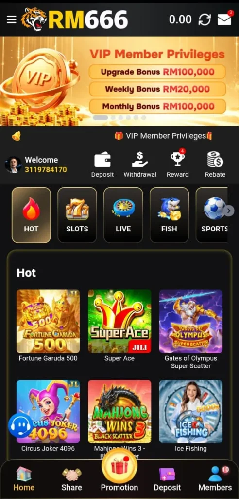 RM666 Game APK